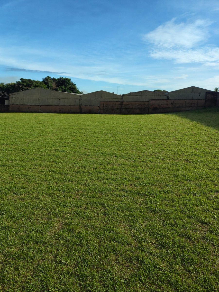 Terreno em Araraquara - imagem 5