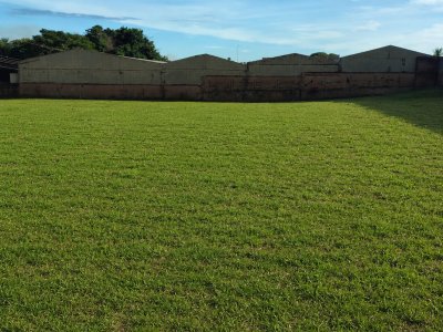 Galeria Terreno em Araraquara - imagem 5