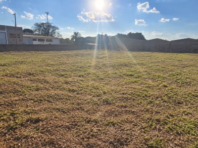 Galeria Terreno em Araraquara - imagem 8